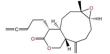 Acalycixeniolide G